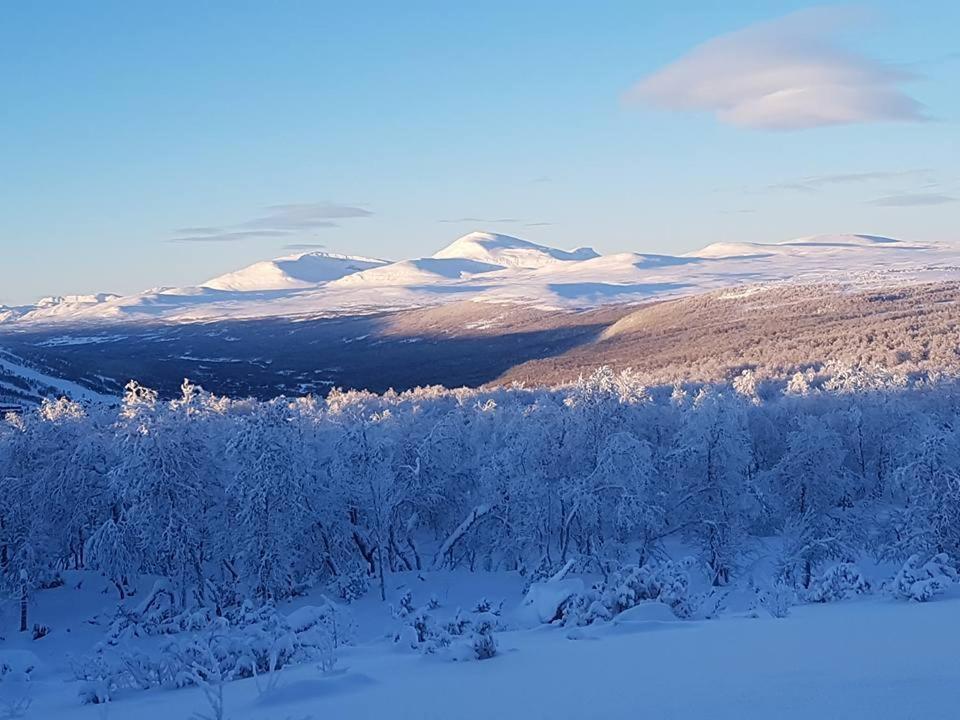 Bruksvallarna - Modern Fjaellstuga Med Panoramautsikt Och Wifi Eksteriør bilde