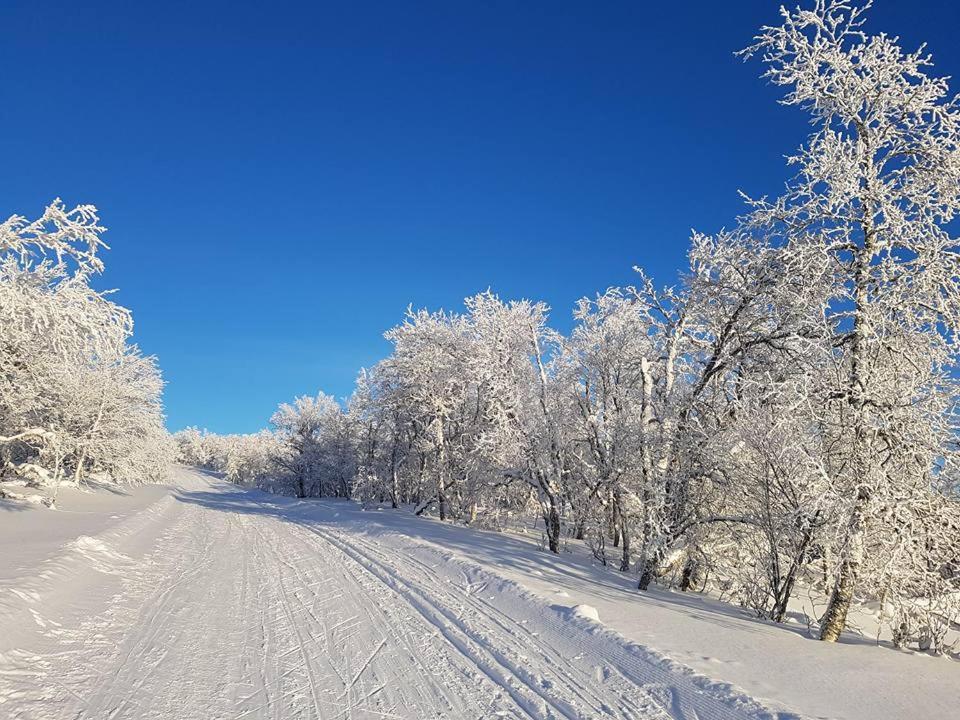Bruksvallarna - Modern Fjaellstuga Med Panoramautsikt Och Wifi Eksteriør bilde