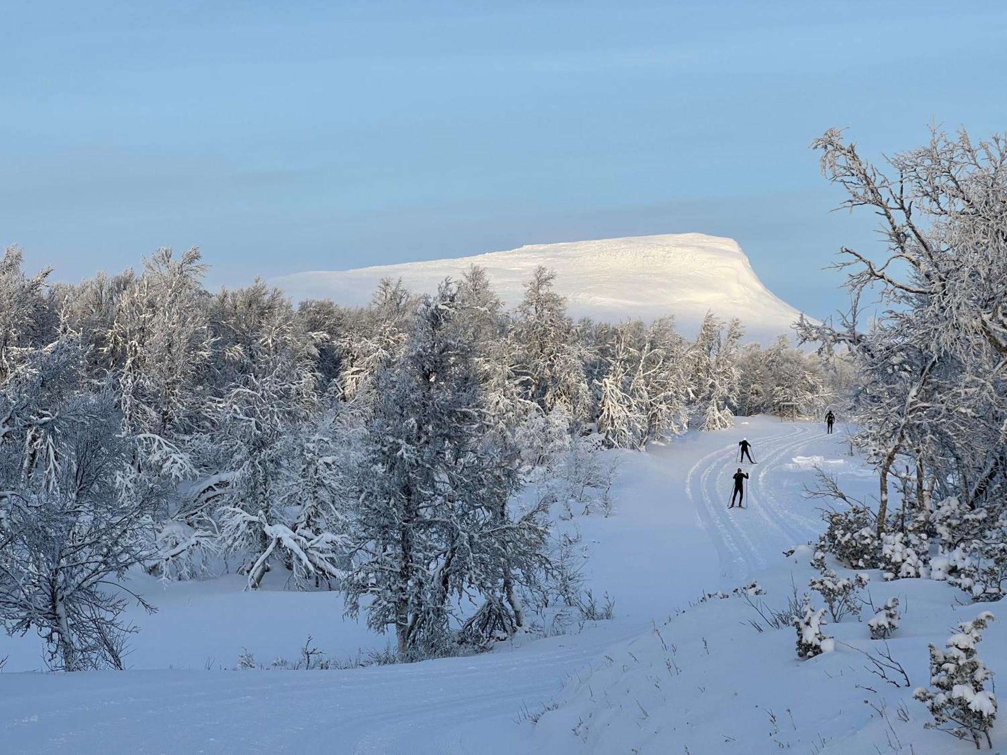 Bruksvallarna - Modern Fjaellstuga Med Panoramautsikt Och Wifi Eksteriør bilde